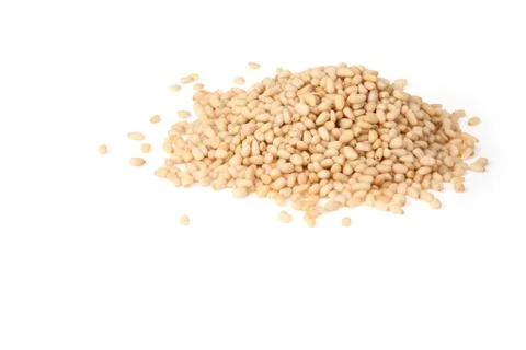 Cedar nuts Stock Photos