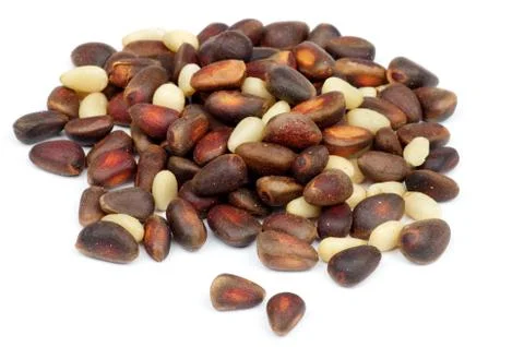 Cedar Nuts Stock Photos