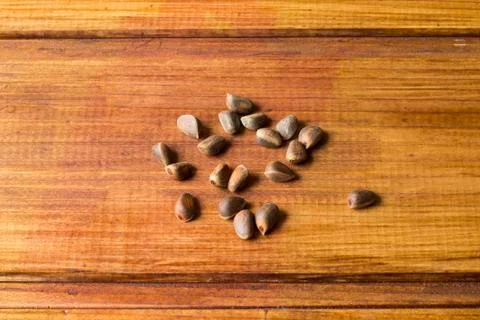 Cedar nuts Stock Photos