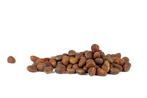 Cedar nuts Foto stock