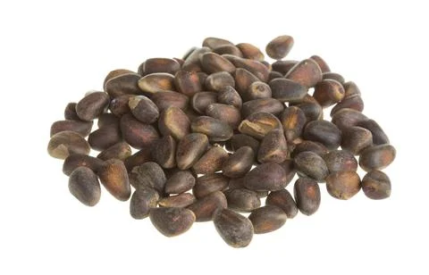 Cedar nuts Stock Photos