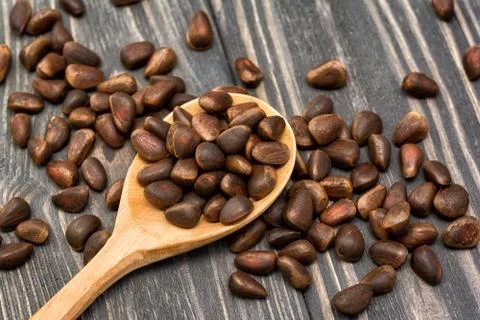 Cedar nuts seed Stock Photos