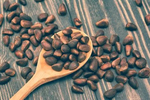 Cedar nuts seed Foto stock