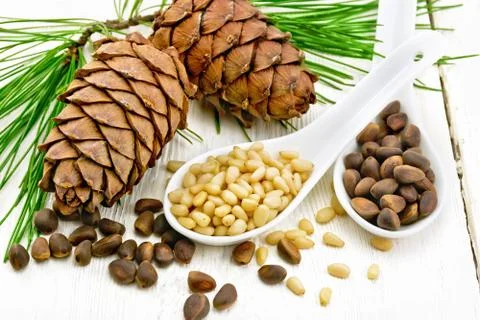 Cedar nuts in two spoons on board Stock Photos