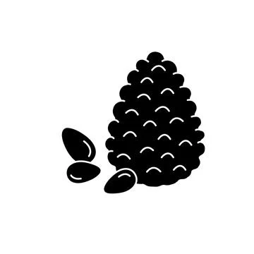Cedar olor line icon. Essential oils fruit seeds. Stock Illustration