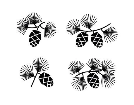 Cedar or pine cones on branches with needles. Vector black illustrations set  Stock Illustration