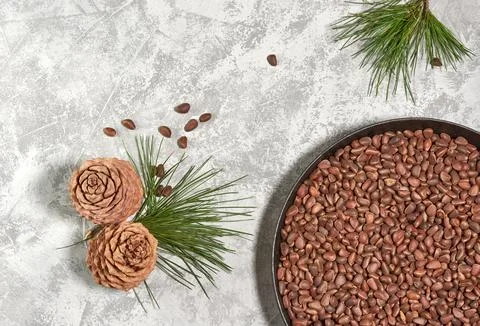 Cedar or pine nuts in a bowl with cones on gray background and a branch of .. Stock Photos