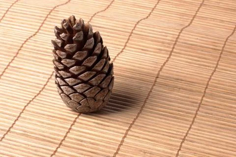 Cedar pine cone Stock Photos