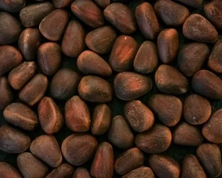 Cedar pine nuts background, in shells, not peeled, Close-up, macro Stock Photos