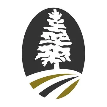 Cedar pine tree logo Icon Illustration Brand Identity Stock Illustration