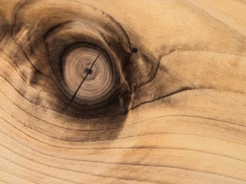 Cedar plank with a knot 11 Foto stock