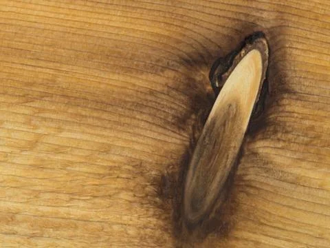 Cedar plank with a knot 3 Foto stock