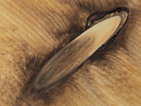 Cedar plank with a knot 4 Foto stock