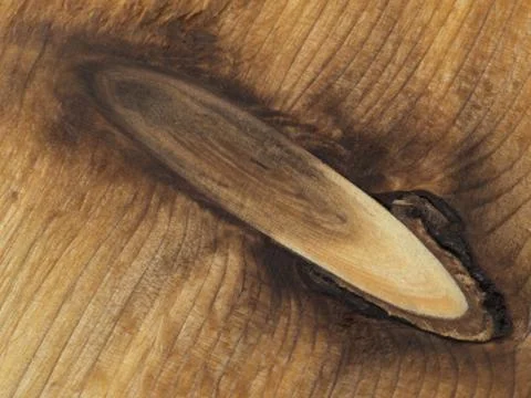 Cedar plank with a knot 7 Foto stock