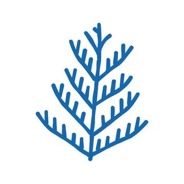 Cedar plant leaf icon doodle illustration Stock Illustration