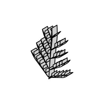 Cedar plant leaf isometric icon vector illustration Stock Illustration