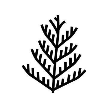 Cedar plant leaf line icon vector illustration Stock Illustration