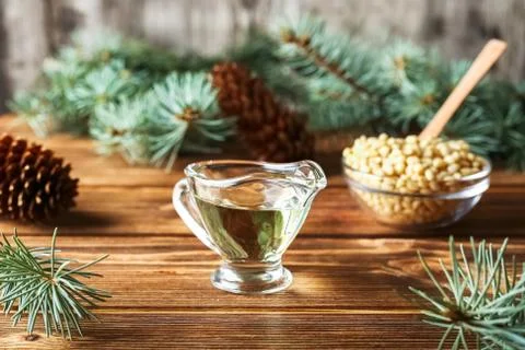 Cedar products: pine nuts, cedar oil, cones, brunches on a wooden broun backg Stock Photos