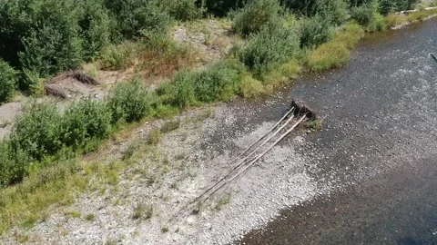 Cedar river 3 downed trees as focal point HD drone Stock Footage 167028493