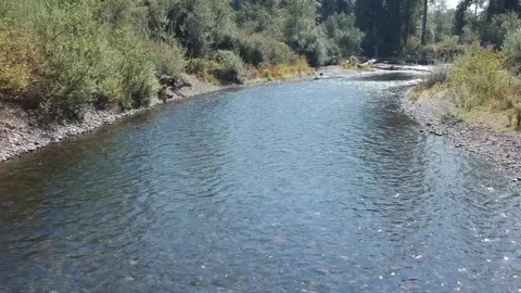 Cedar River drone slowly moving up river HD drone footage Stock Footage 167028385