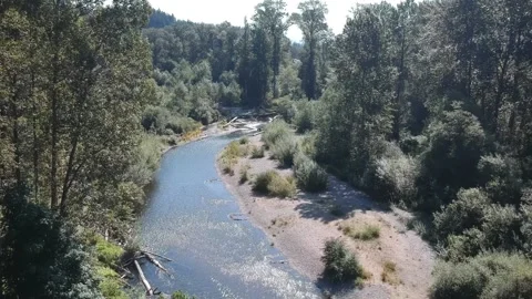 Cedar river Stock Footage 167028211