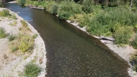 Cedar river HD drone footage Stock Footage 167028348