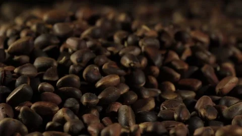 Cedar seeds on a platter rotate Stock Footage 158249482