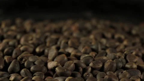 Cedar seeds on the table. close-up Stock Footage 158249429