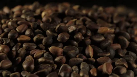 Cedar seeds on the table. close-up Stock Footage