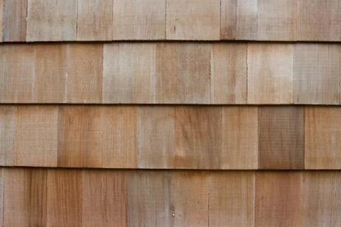Cedar shape background Stock Photos