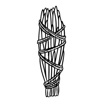 Cedar smudge stick tied with thread hand-drawn doodle isolated icon. Vector s Stock Illustration