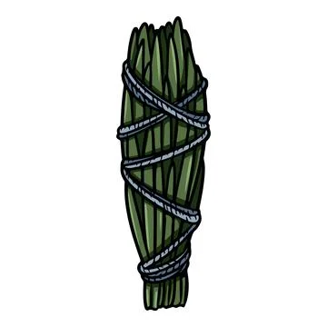 Cedar smudge stick tied with thread hand-drawn doodle isolated icon. Vector s Illustrazione stock