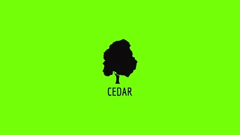 Cedar Tree Illustration Stock Videos – Royalty-Free HD & 4K Videos | Pond5