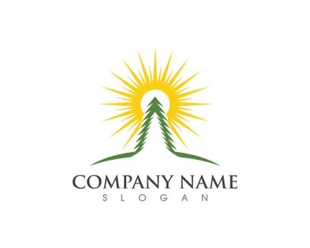 Cedar tree Logo template vector Illustrazione stock