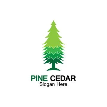 Cedar tree logo template vector icon design Illustrazione stock