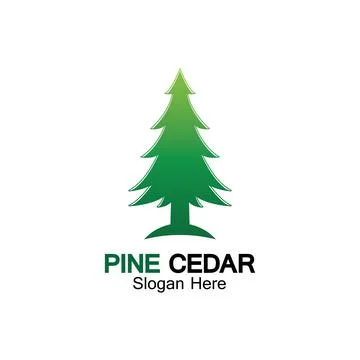 Cedar tree logo template vector icon design Illustrazione stock