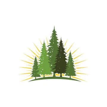 Cedar tree vector icon illustration Illustrazione stock