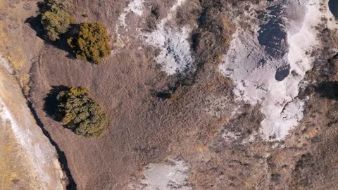 Cedar trees and prairie next to badland bluffs Stock Footage 306091621