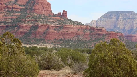 Cedar trees blowing in wind by red rocks in the desert outside Sedona, Arizona Stock Footage 146668822