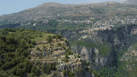 The cedars in Lebanon Stock Footage 122035299