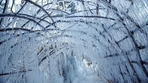 A ceeling of iced spikes Stock Footage 85137508