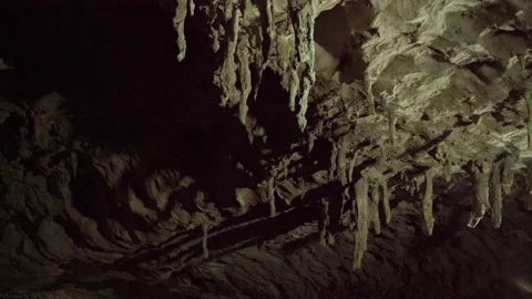 Ceiling of Akihara Video stock 162203171