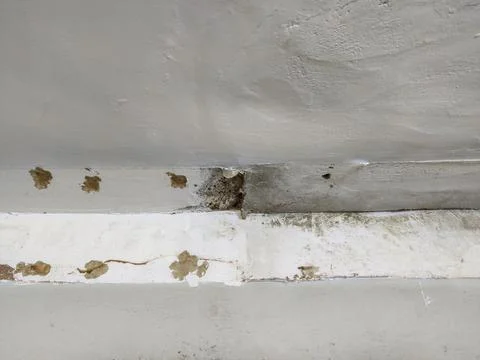 Ceiling and wall with nail marks after ceiling removal showing surface damage Stock Photos