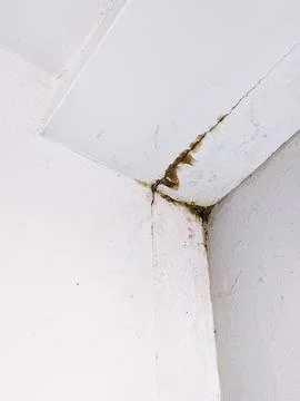 Ceiling corner with water damage and cracks Stock Photos