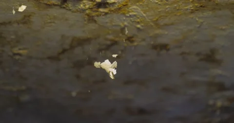 Ceiling damaged by moisture Stock Footage 164874593