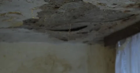 Ceiling damaged by moisture Stock Footage 164874625