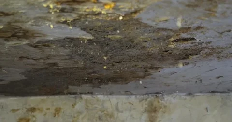 Ceiling damaged by moisture Video stock 164874711