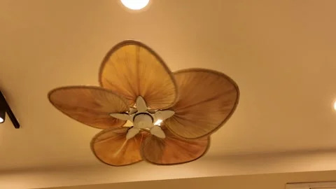 Ceiling fan with flower design and soft lighting in a room Vidéo 346583477