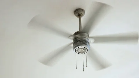 Ceiling fan rotating Stock Footage 81803579