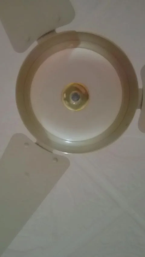 Ceiling fan rotating gracefully to provide cool air Stock Footage 322039855
